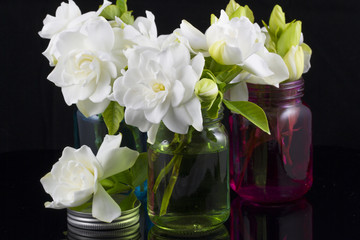 Bouquet of Gardenias