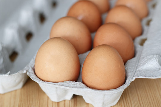 fresh chicken eggs