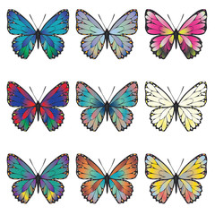 Obraz premium Butterflies Set