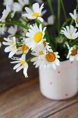 Beautiful daisies in white vase