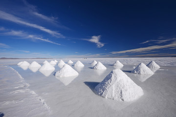 salt farm