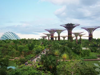 Photo sur Plexiglas Singapour Garden by the bay and Supertree Grove at singapore.