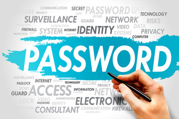PASSWORD word cloud, business concept