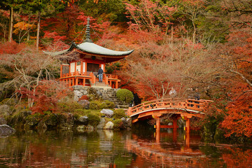 Obrazy na Plexi  Świątynia w Kioto