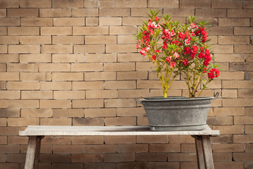 red flower and brick wall background