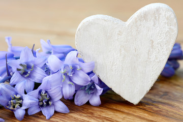 Obraz na płótnie Canvas Heart and blue flowers