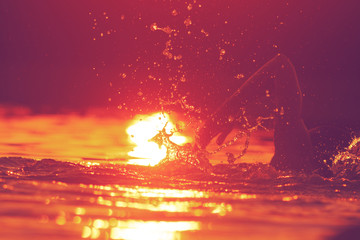 Swimming in sunset/sunrise.