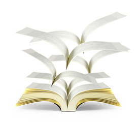 Open magic book