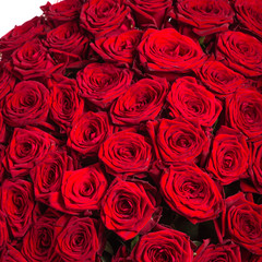 Red roses background - natural texture of love