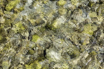 detail of river in the alps