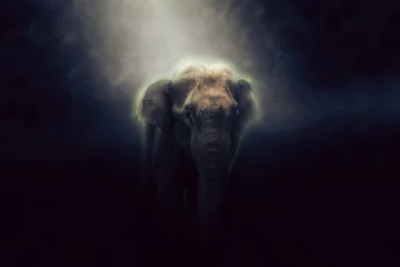 Gordijnen HDR-foto van olifant © eranda