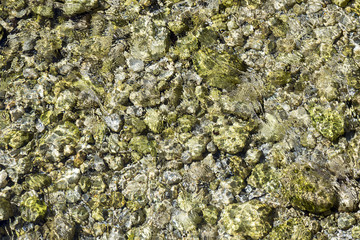 detail of river in the alps