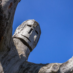 Obraz premium Tree trunk carved