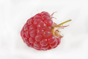 Raspberry