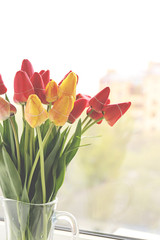 Bouquet of fresh tulips on windowsill background