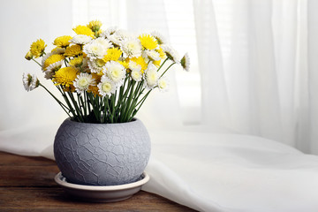 Beautiful chrysanthemum in pot on fabric background