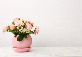 Beautiful roses in pot on light background