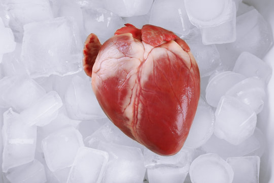 Heart organ with ice close up