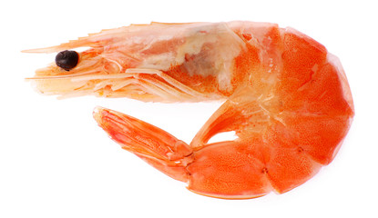 Boiled shrimp isolated on white