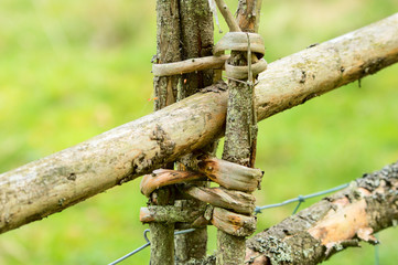 Traditional wooden fence