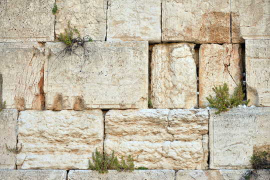 the Western wall in Jerusalem