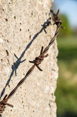 Concrete post with rusty barbed wire