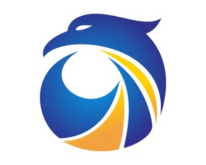 color falcon eagle consulting financial