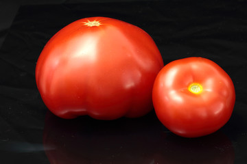 tomatoes on black background