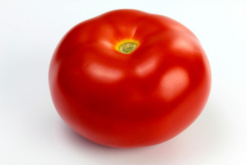 tomatoes on white background