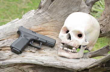 human skull model and gun on log