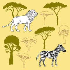 Lion, zebra and savanna trees