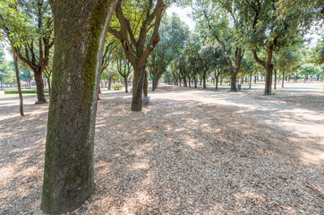Villa Borghese park in Rome