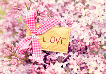 bautiful blossom flower greeting card background - love