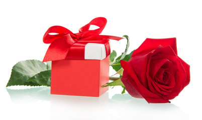 Red rose with holiday gift