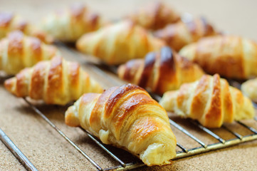 Fresh baked croissants on metallic rack
