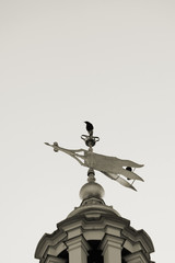 Vogel auf Windmesser / V&ouml;gel sitzen auf einem Windmesser