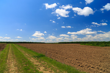 Summer landscape with green grass, road and clouds