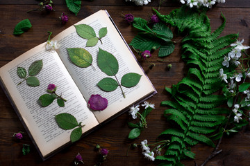 floral mix of pressed and dried spring flowers and leafs rustic