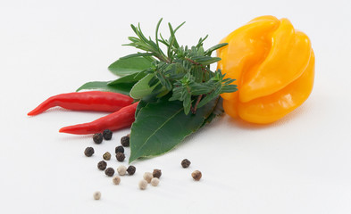 Chili, Paprika und mediterrane Kräuter