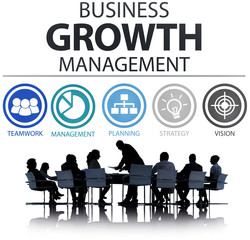 Business Strategy Management Mission Success Concept