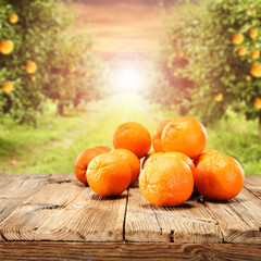 Fototapeta na wymiar orange 