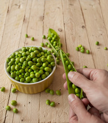 Ecological fresh green peas pods.