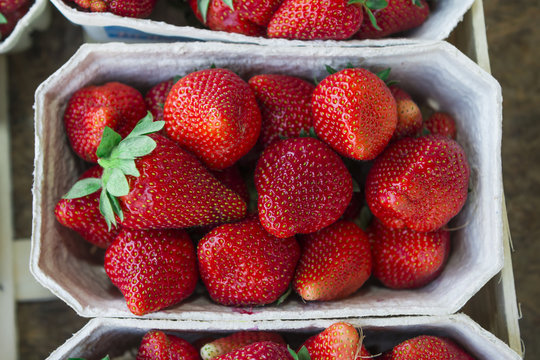 Schale Erdbeeren