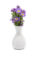 Bouquet purple daisy in vase