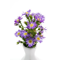 Bouquet purple daisy in vase