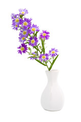 Bouquet purple daisy in vase