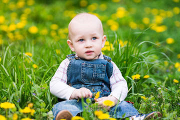 Cute baby boy sitting on a lawn with dandelions