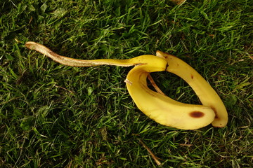 Banana Skin