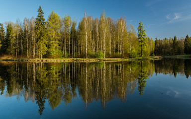 Obraz premium Природа пригородов Санкт-Петербурга