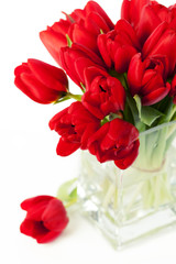 Valentine's day concept:  bunch of red tulips in vase
